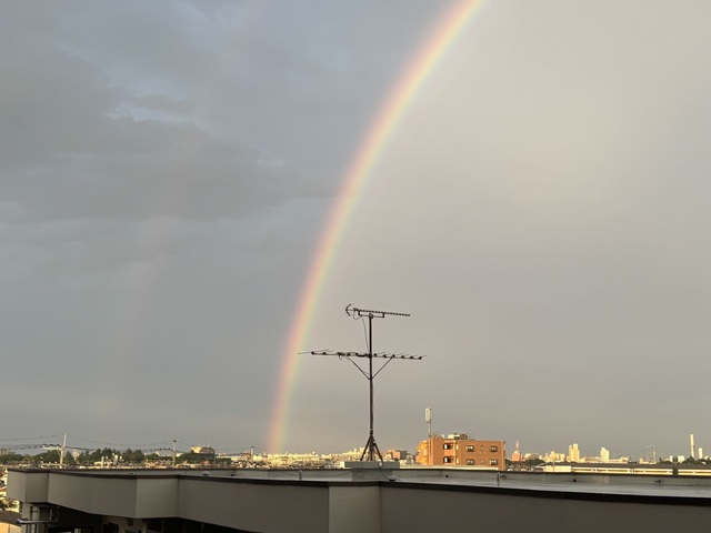 (Upload-from-mobile-1750984191)IMG_9720.jpeg