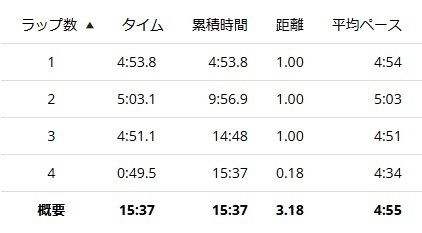 立川駅伝ラップ 2025-01-19.jpg