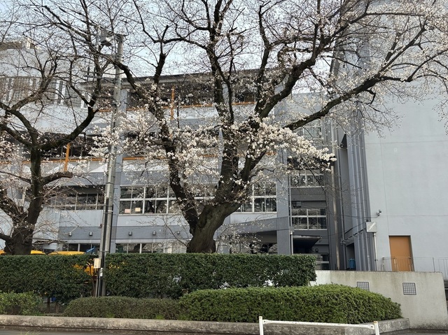 IMG_9258.jpeg