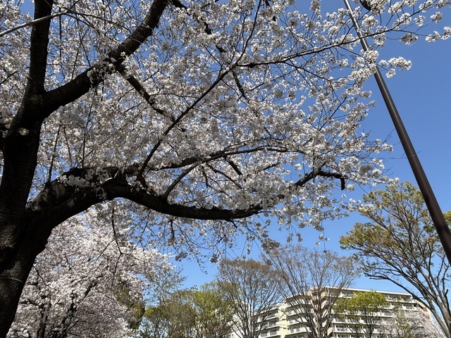 IMG_9319.jpeg