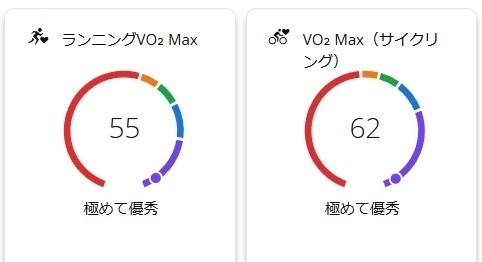 VO2Max2024-06-30 221901.jpg